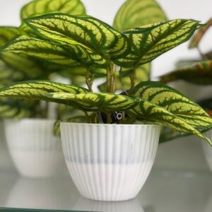Artificial Plants  stella pot color leaf set