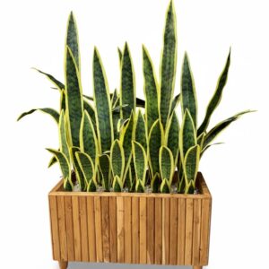 ARTIFICIAL PLANT