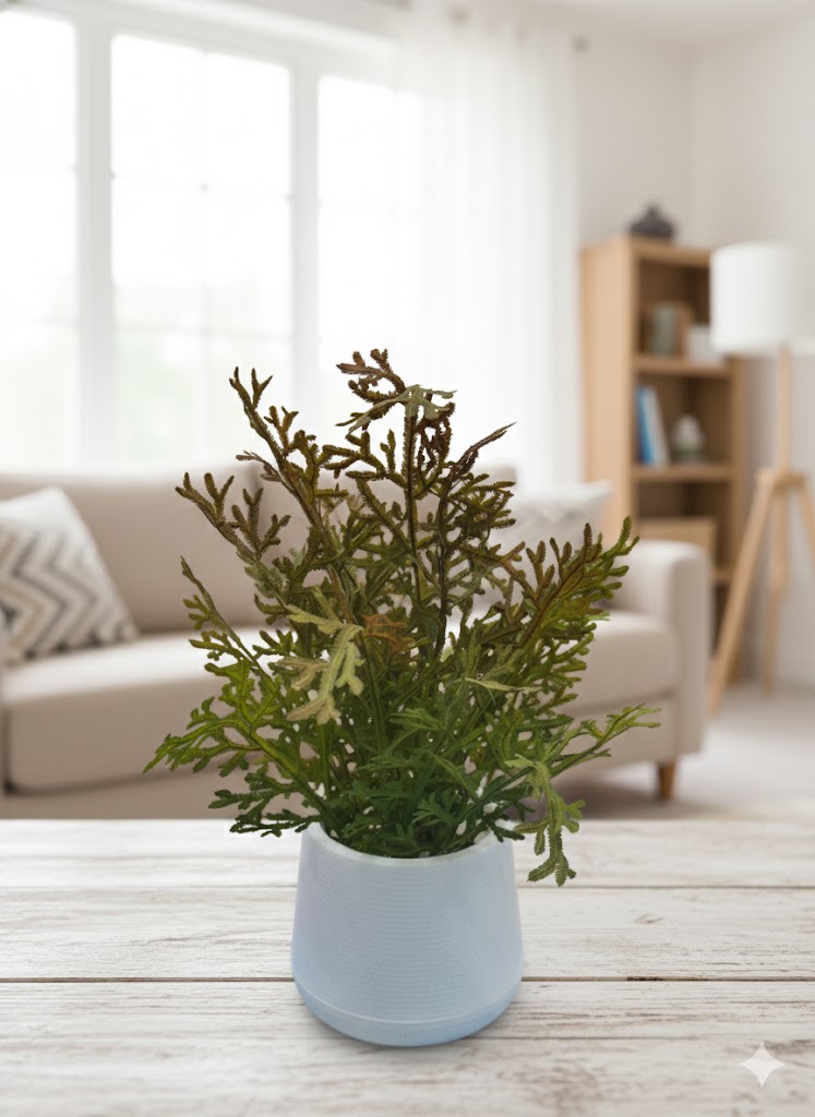 MADUKUNDA FIRAN LEAF