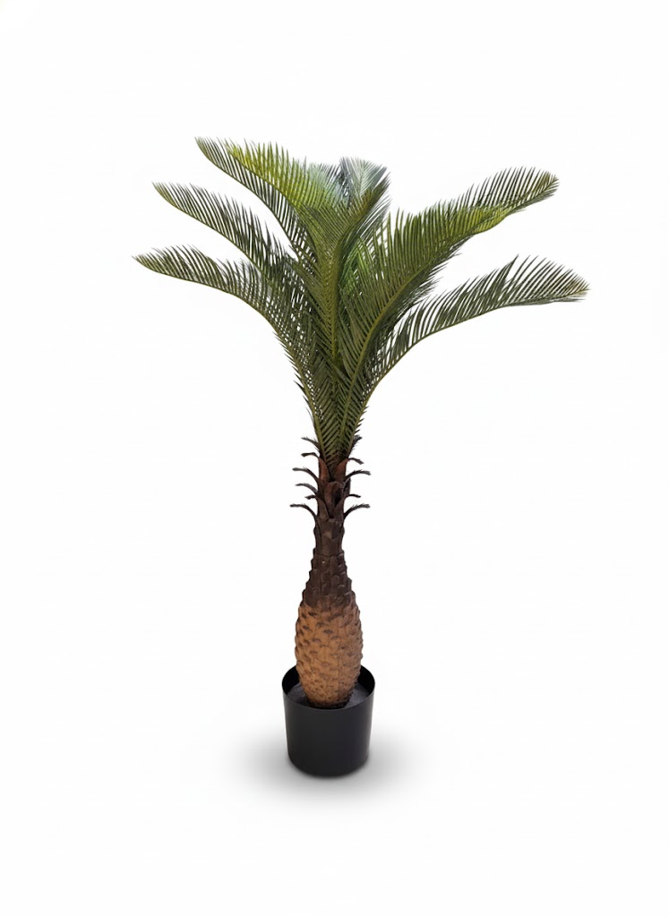EAND PALM TREE