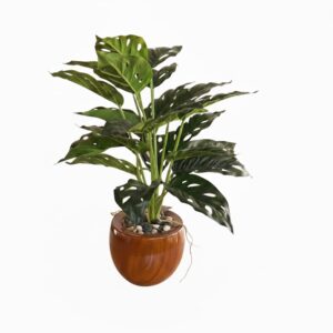 ARTIFICIAL  PLANT