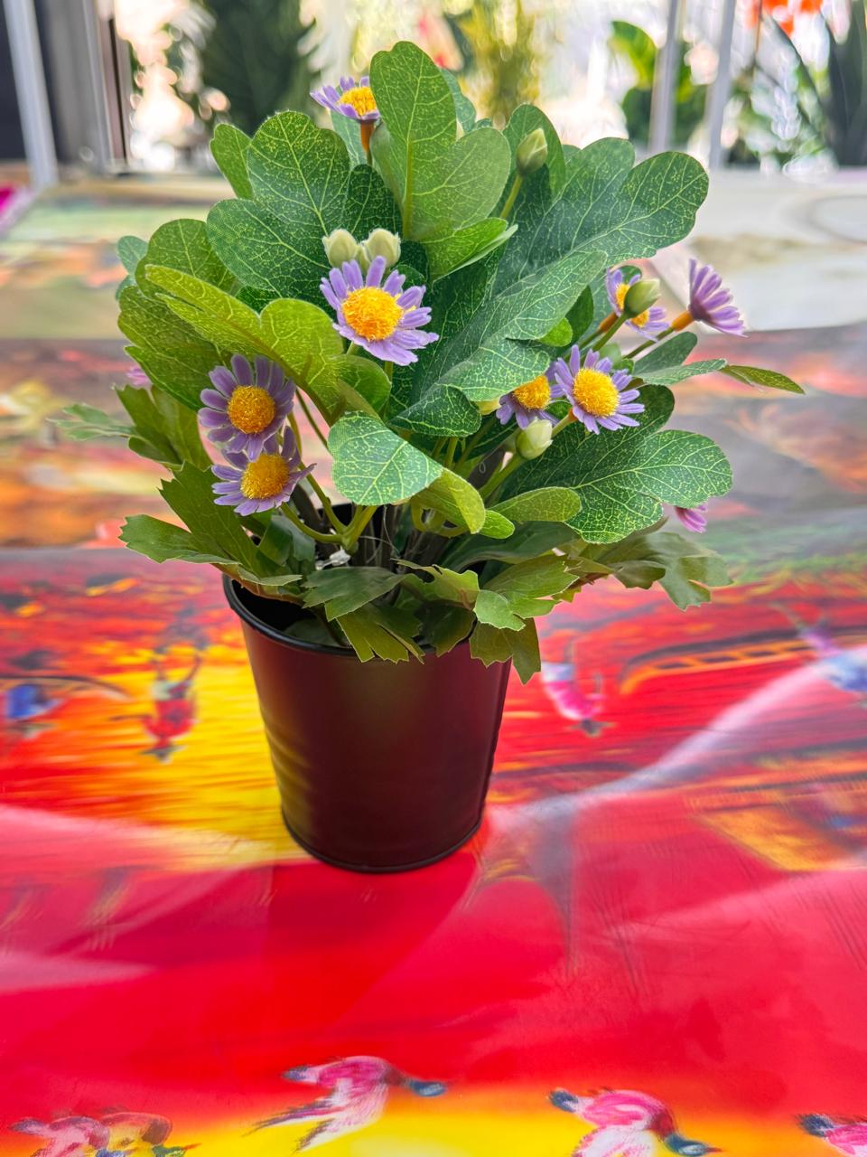 HOME CAFE SETTINGS - Image 2