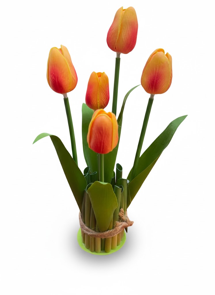 TULIP BONSAI - Image 5