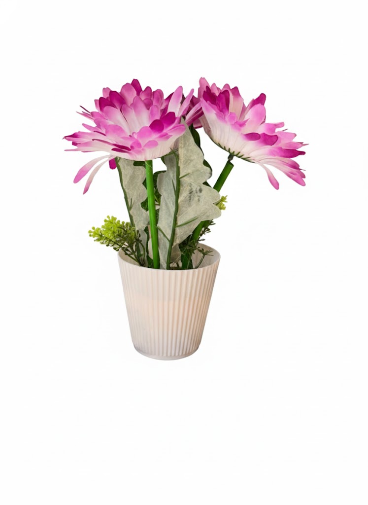 RINM COLOUR SUN - Image 2