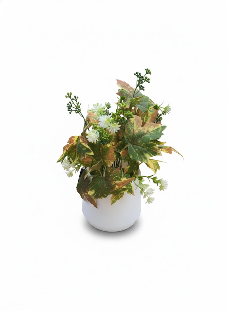 MADUKUNDA LEAF SET - Image 2