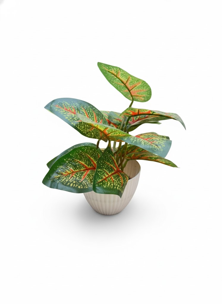 STELLA POT COLOUR LEAF - Image 2