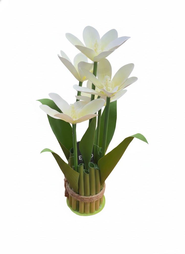 TULIP BONSAI - Image 3