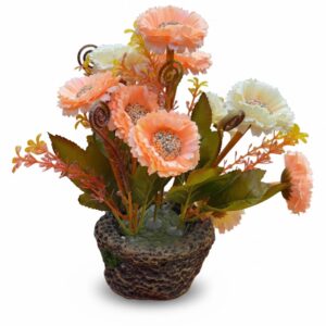 ARISTO COLOUR SUN SET